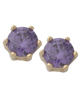 Gold Plated Circle Birthstone Earring-Feb/Amethyst Gold